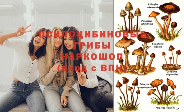 герыч Алзамай
