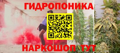 метадон Партизанск