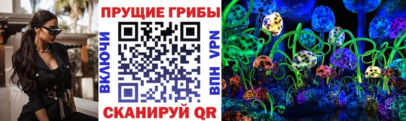 маркетплейс состав  Фролово  Псилоцибиновые грибы прущие грибы 