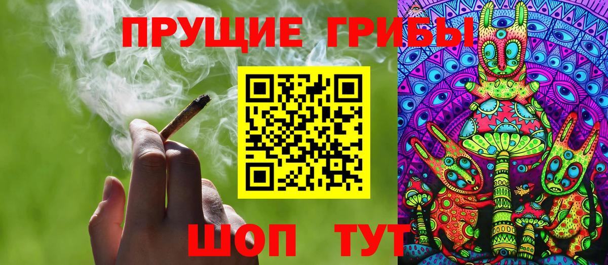 Галлюциногенные грибы Psilocybe Фролово