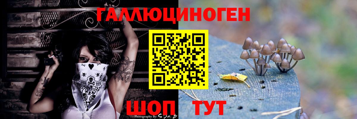 Галлюциногенные грибы MAGIC MUSHROOMS  Галлюциногенные грибы ЛСД  Фролово  Вход с VPN 